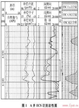 元素俘獲譜測井在儲(chǔ)層評(píng)價(jià)中的應(yīng)用
