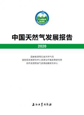 2020中國(guó)天然氣發(fā)展報(bào)告（含2017、2018、2019、2020）